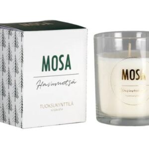 Lõhnaküünal väike - Okaspuumets